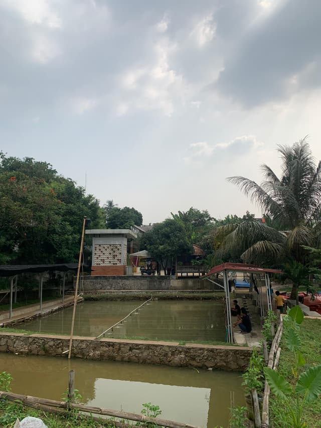 Fasilitas situ kandang sapi